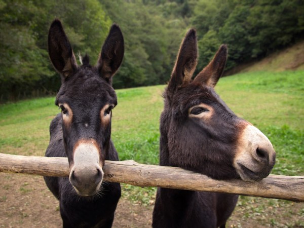 Sortie pour les&nbsp;familles