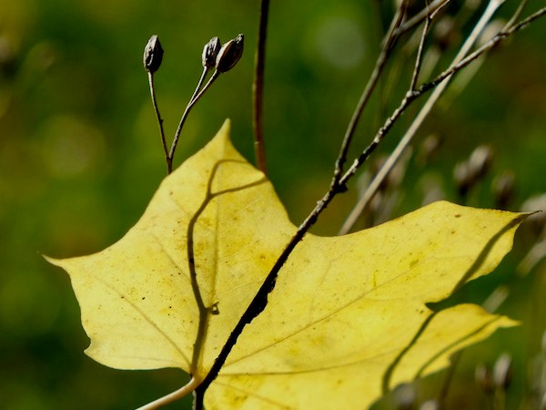 Se tourner vers Dieu en toutes&nbsp;circonstances