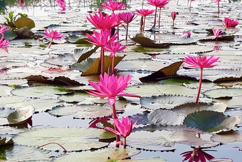 Crédits, Benoît Bonnaffé