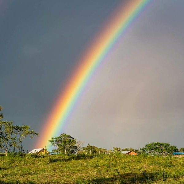 Journée de réflexion
